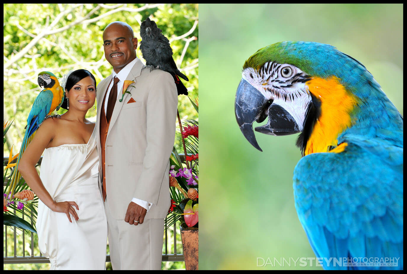 jungle island wedding photographer