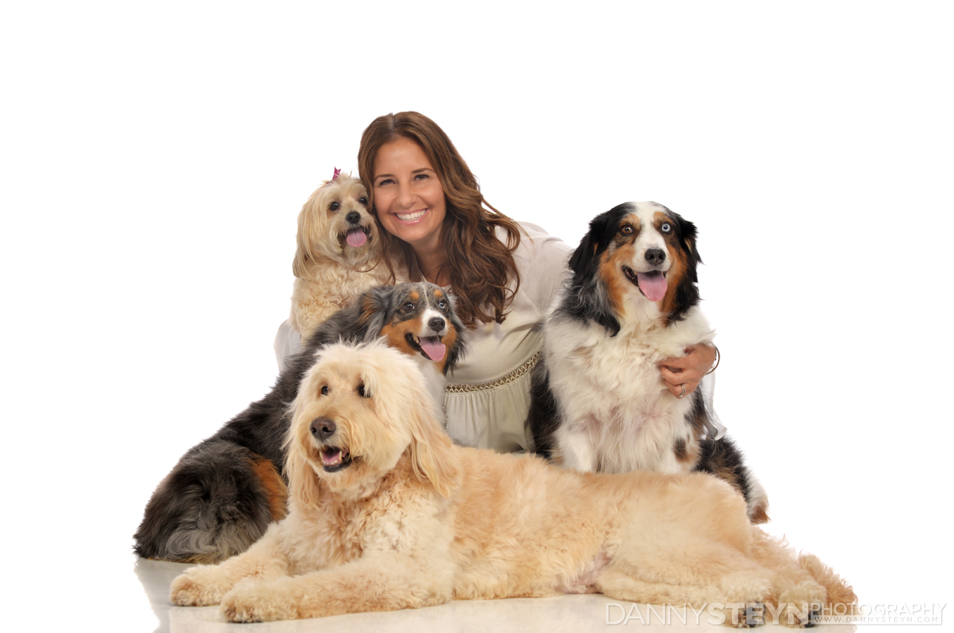 pet photographer fort lauderdale