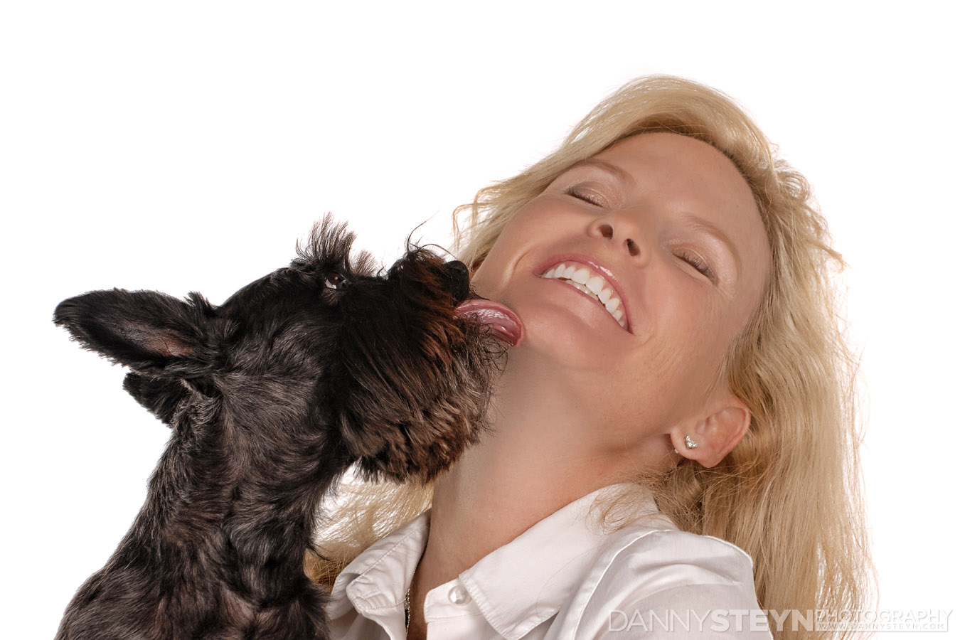 pet photographer fort lauderdale