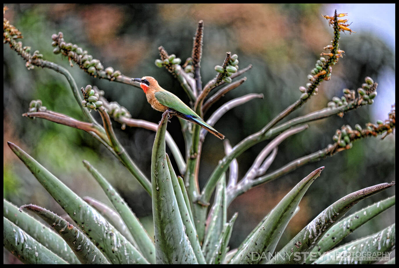 South florida photography studio